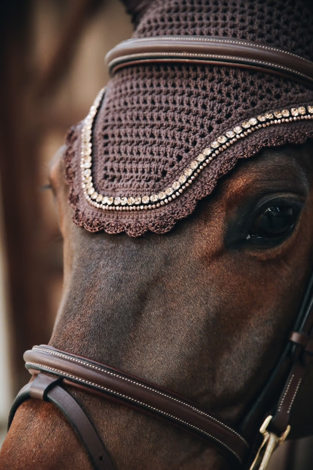 https://equitavisports.ca › products › bonnet-wellington-stone-pearl-kentucky-horsewear
Bonnet Wellington Stone & Pearl | Kentucky Horsewear