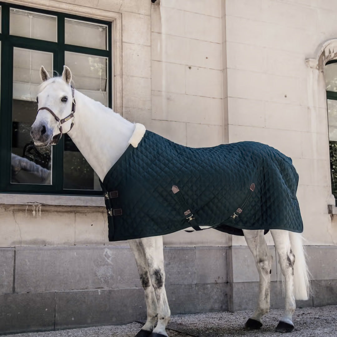 https://equitavisports.ca › products › couverture-decurie-kentucky-horsewear