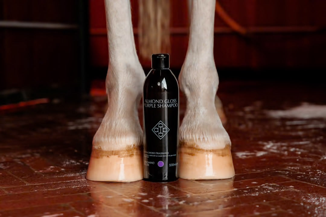 Almond Mauve Shampoo | Kentucky Horsewear