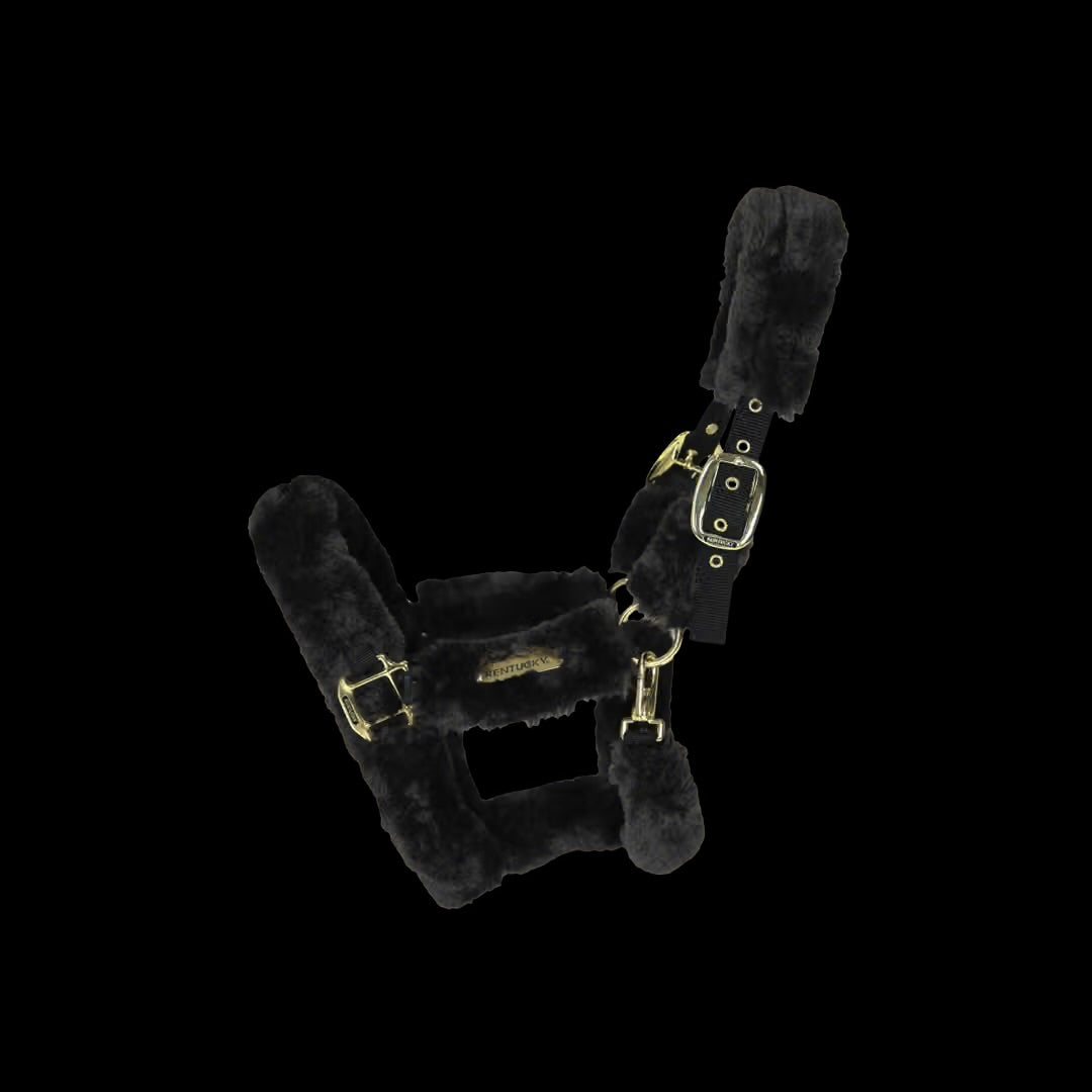 https://equitavisports.ca › products › licol-de-transport-mouton-kentucky-horsewear