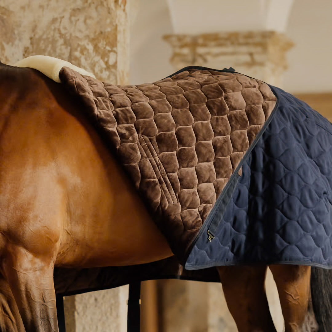 https://equitavisports.ca › products › couverture-decurie-comfort-100g-kentucky-horsewear