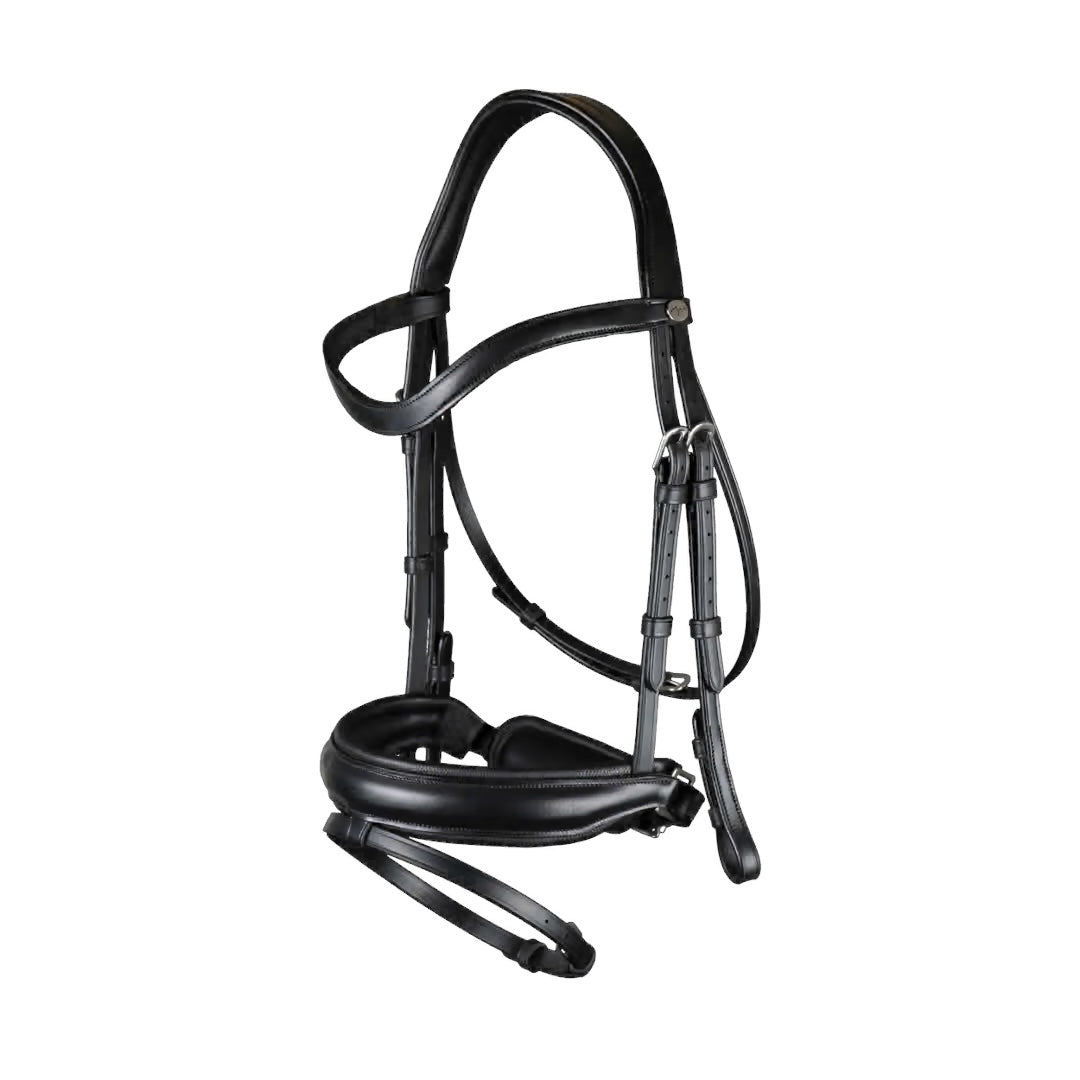 https://equitavisports.ca › products › bride-muserolle-combinee-large