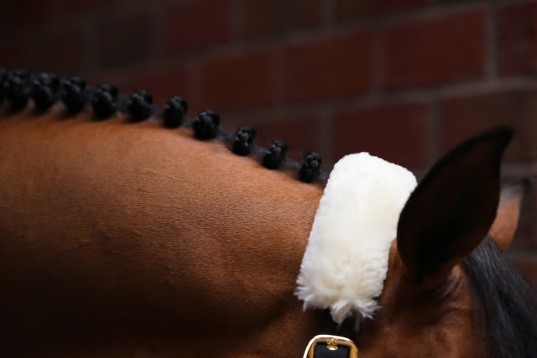 https://equitavisports.ca › products › licol-de-transport-mouton-kentucky-horsewear