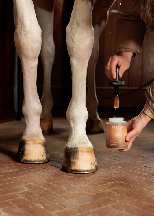 Shine Foot Oil | Kentucky Horsewear