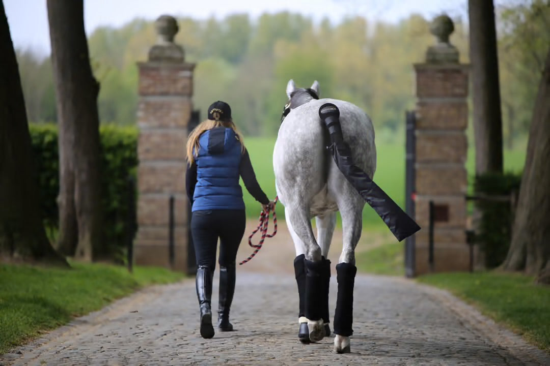 https://equitavisports.ca › products › bandages-kentucky-horsewear