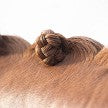 https://equitavisports.ca › products › qhp-braiding-wax-stick-black-canpro