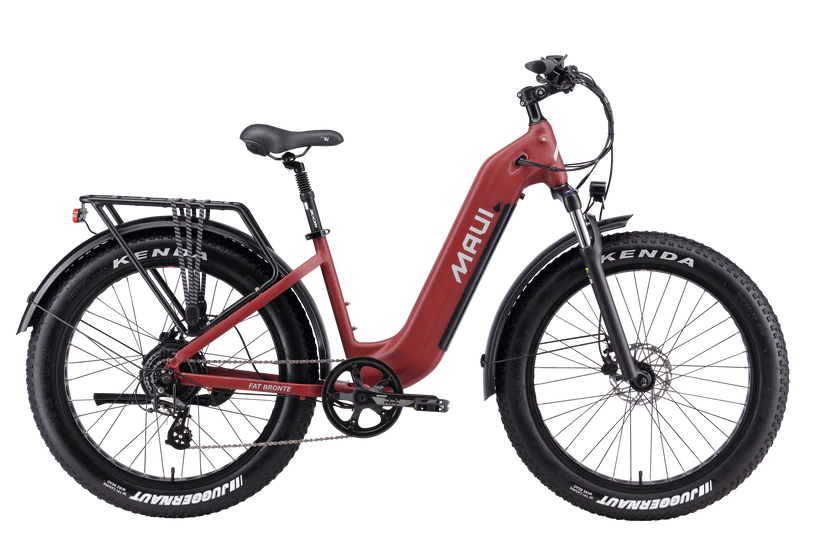 https://equitavisports.ca › products › velo-electrique-fat-bronte-maui
