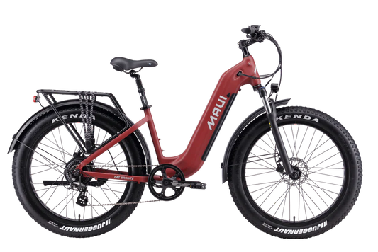 https://equitavisports.ca › products › velo-electrique-fat-bronte-maui
