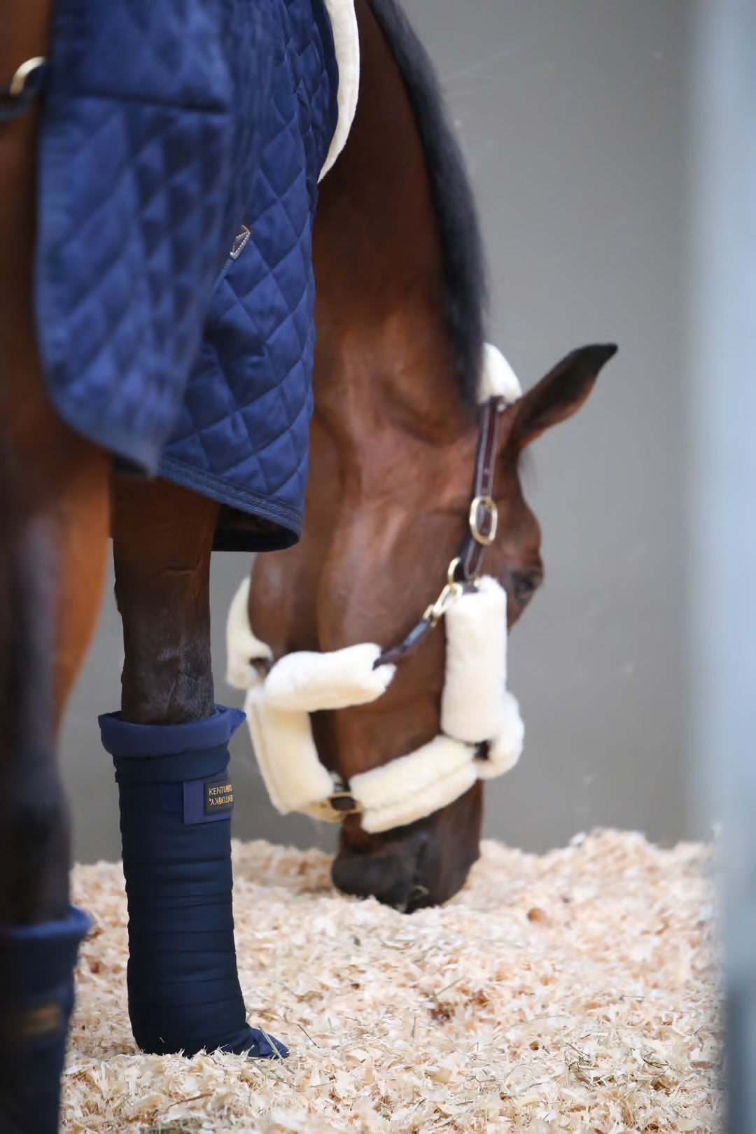 https://equitavisports.ca › products › bandages-kentucky-horsewear