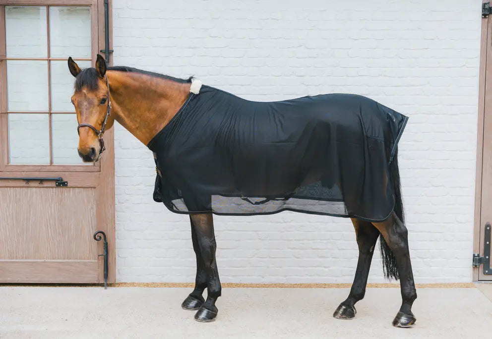 https://equitavisports.ca/products/couverture-anti-mouches-kentucky