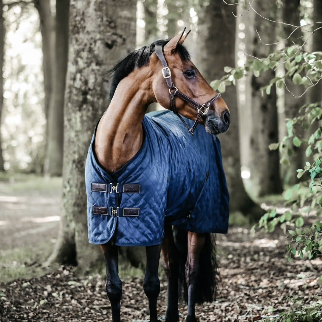https://equitavisports.ca › products › couverture-decurie-kentucky-horsewear