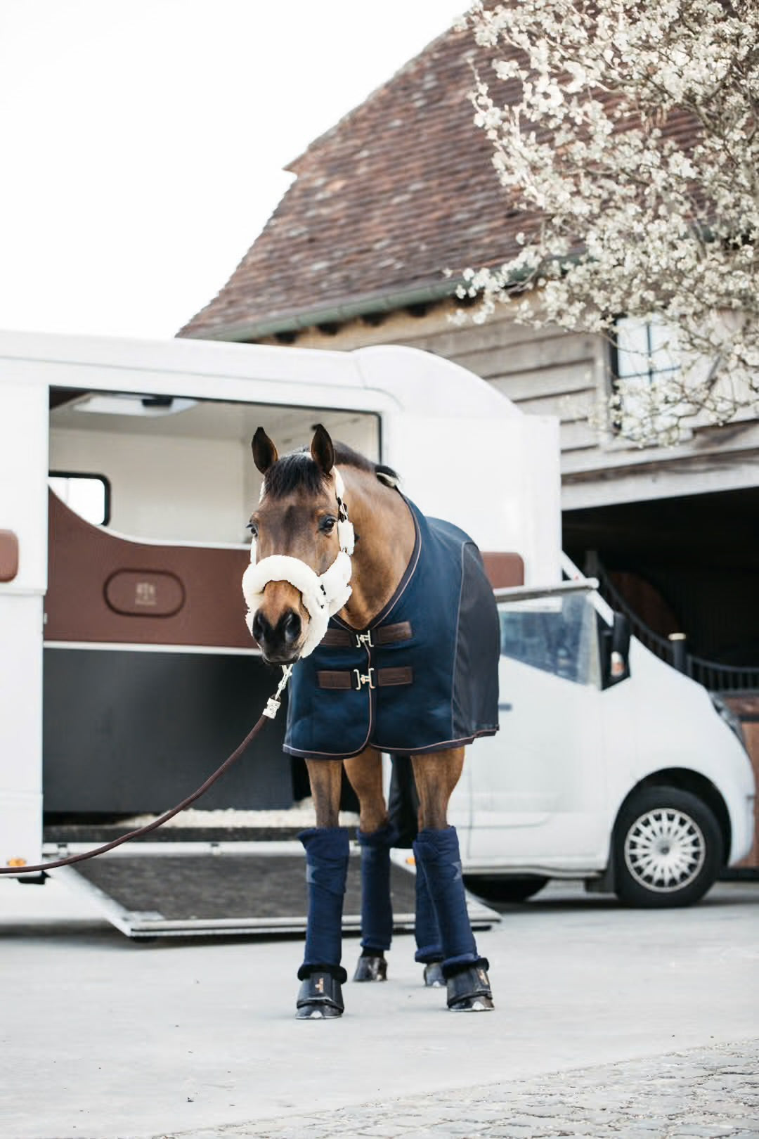 https://equitavisports.ca › products › bandages-kentucky-horsewear