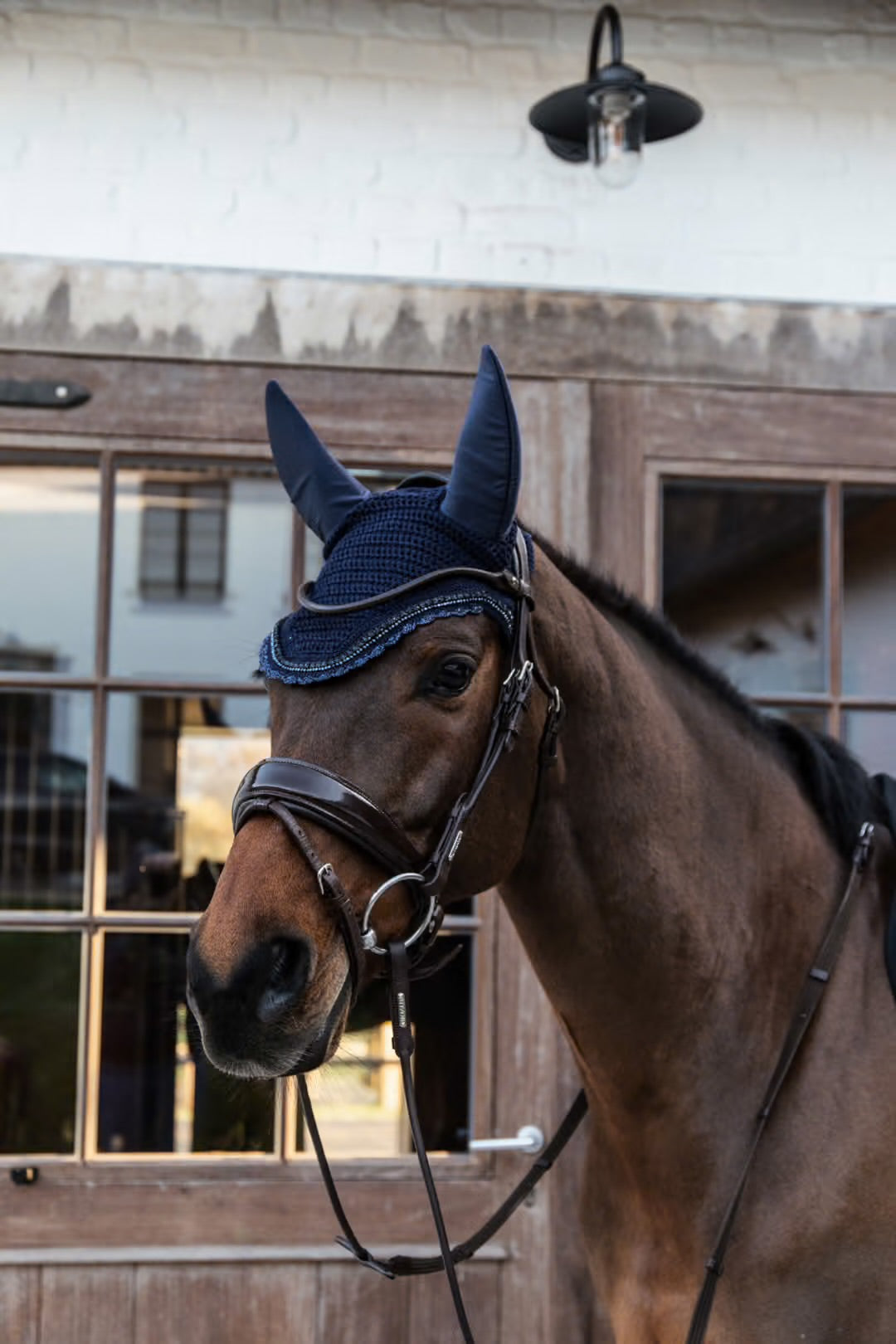https://equitavisports.ca › products › bonnet-wellington-stone-pearl-kentucky-horsewear
Bonnet Wellington Stone & Pearl | Kentucky Horsewear
