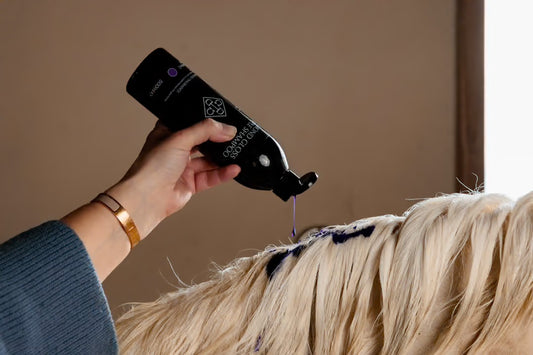 Almond Mauve Shampoo | Kentucky Horsewear