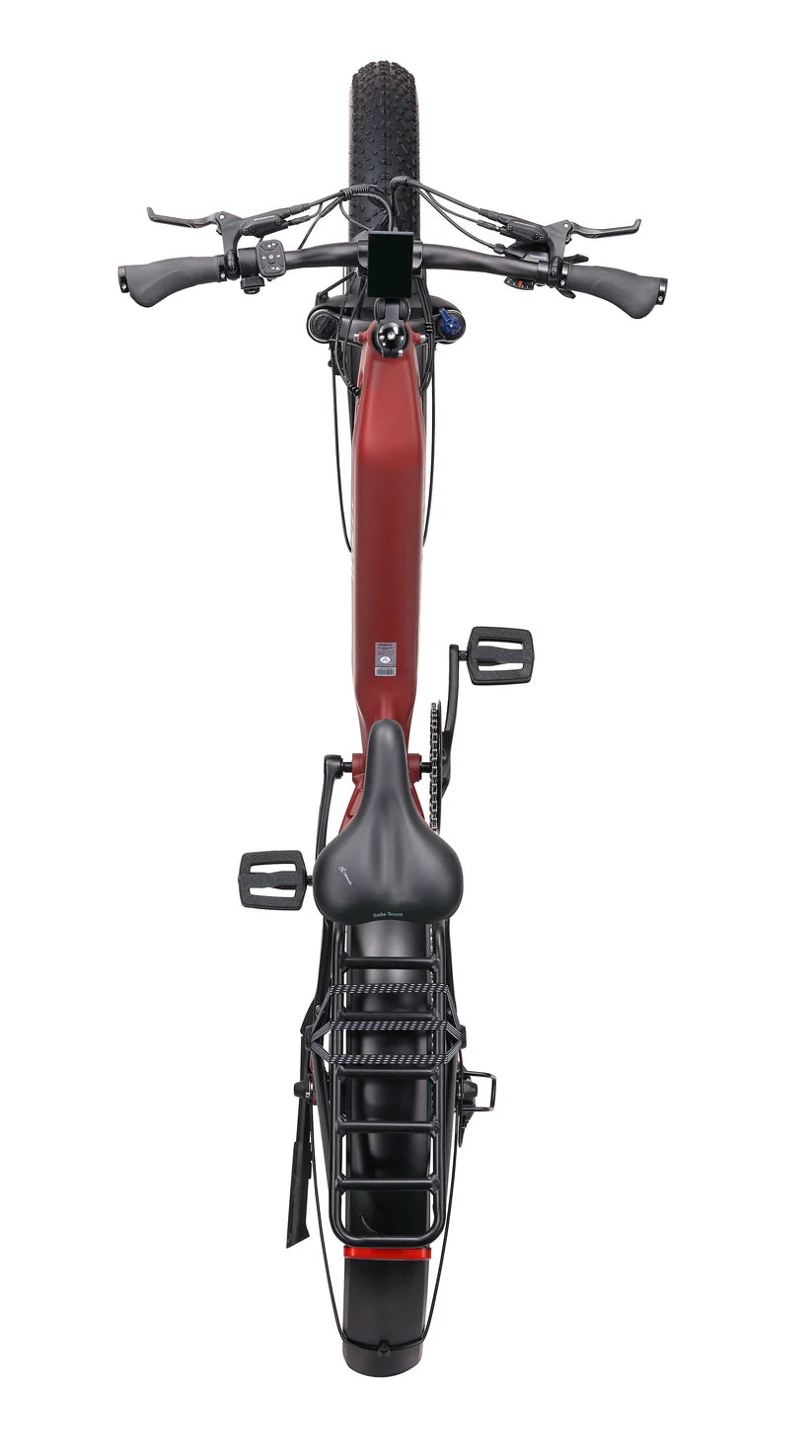 https://equitavisports.ca › products › velo-electrique-fat-bronte-maui