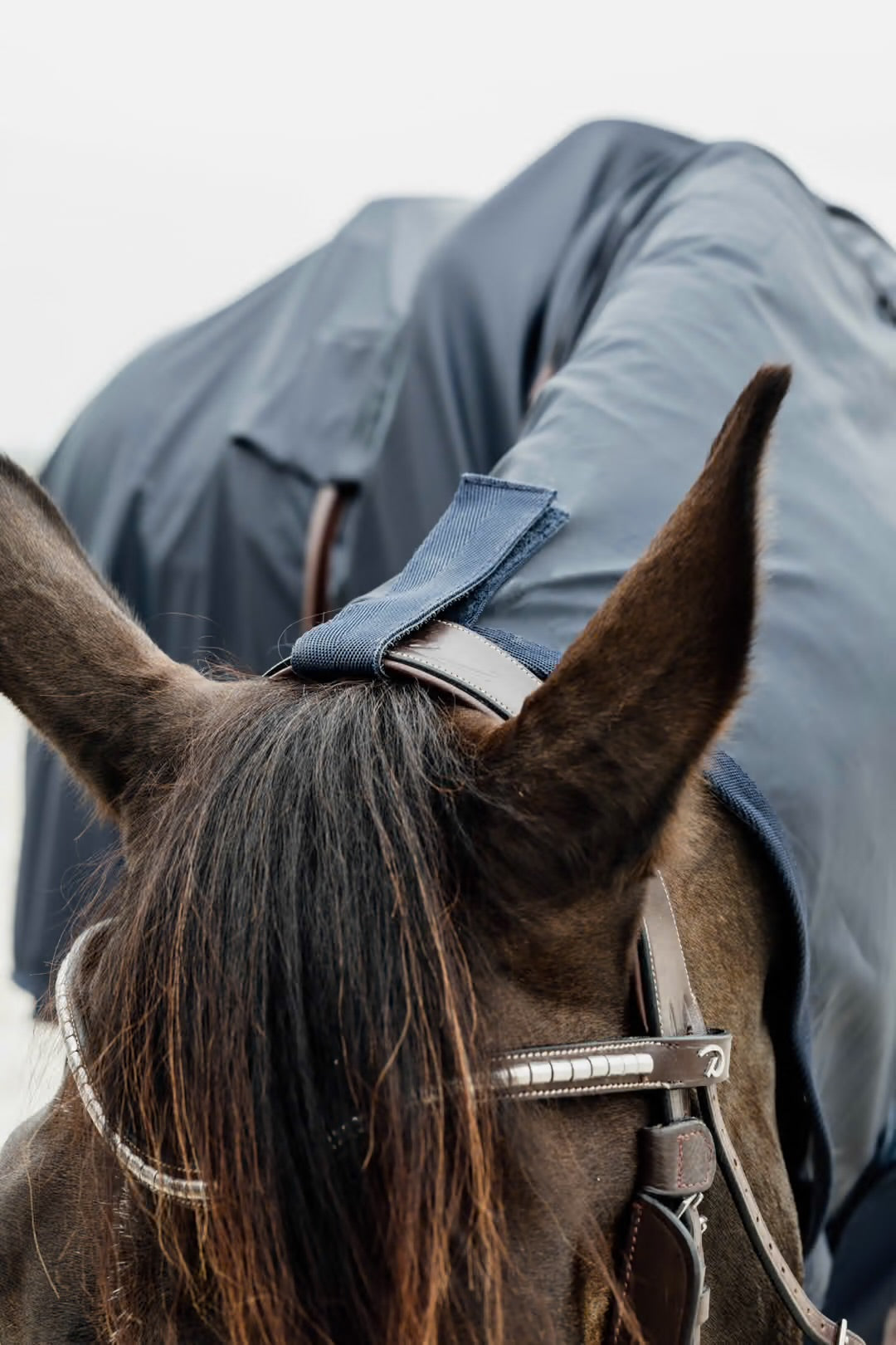 https://equitavisports.ca › products › couverture-impermeable-hurricane-avec-ouverture-pour-les-etriers-kentucky-horsewear
