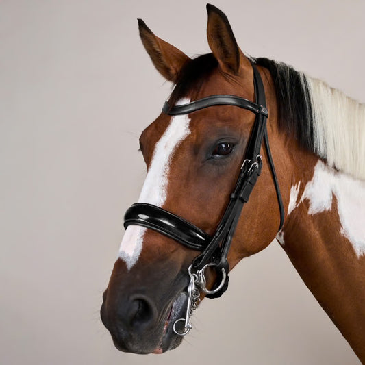 https://equitavisports.ca › products › bride-muserolle-large-vernie-kentucky-horsewear