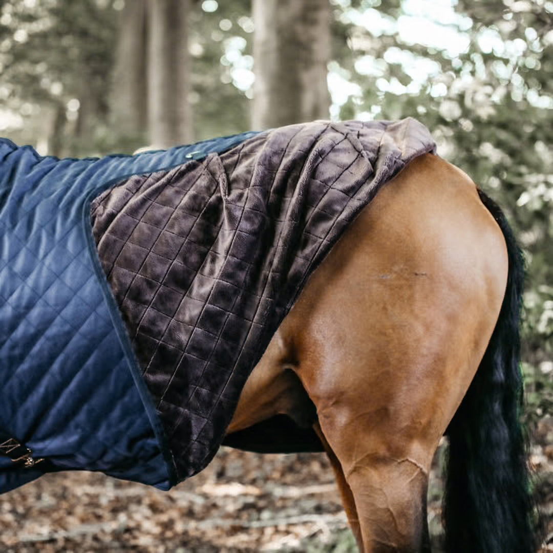 https://equitavisports.ca › products › couverture-decurie-kentucky-horsewear