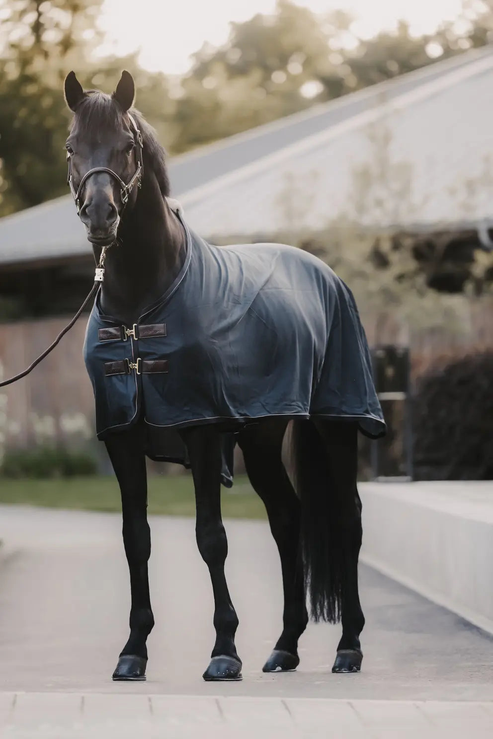 https://equitavisports.ca/products/couverture-anti-mouches-kentucky