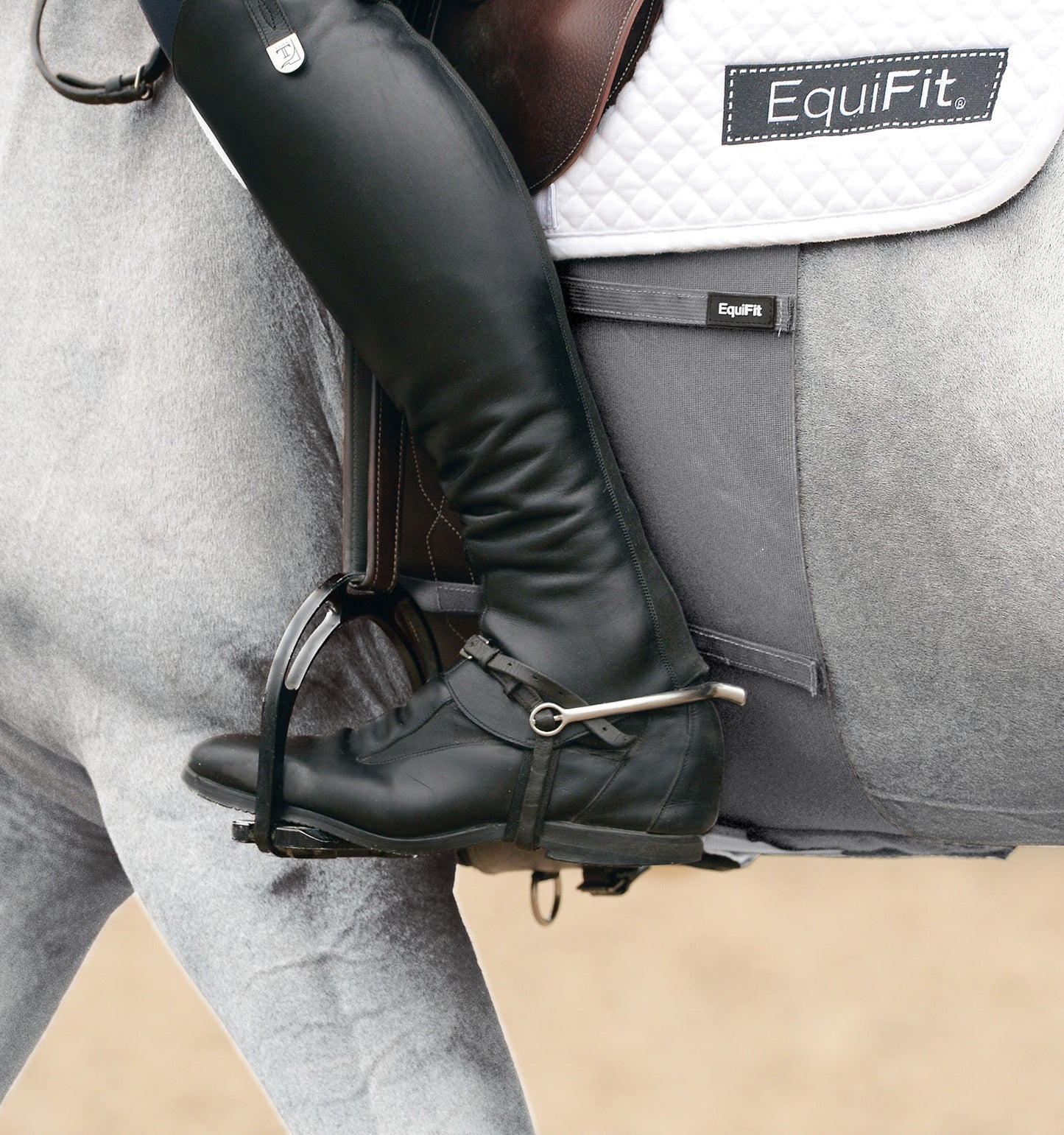 EQUIFIT BellyBand