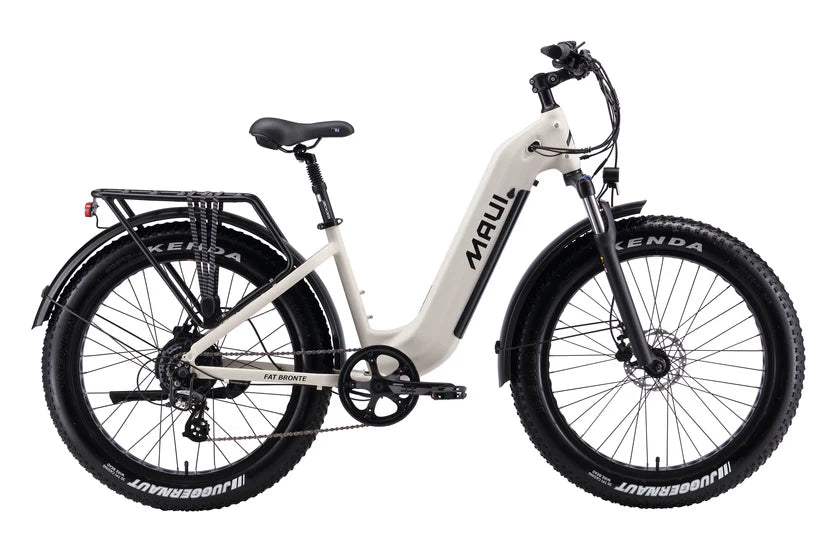 https://equitavisports.ca › products › velo-electrique-fat-bronte-maui
