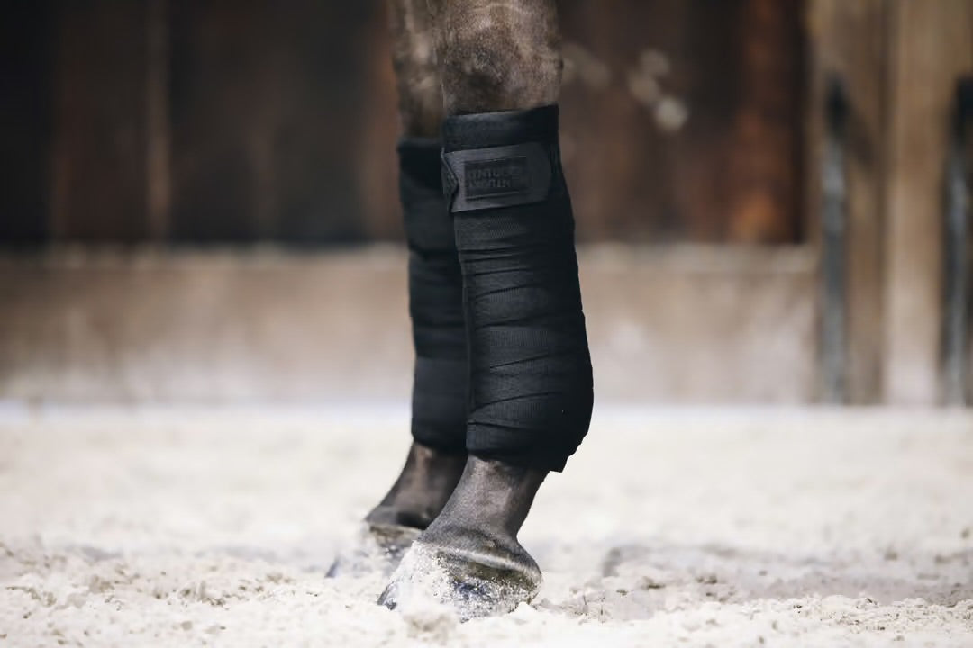 https://equitavisports.ca › products › polos-de-travail-repellent-kentucky-horsewear