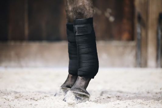 https://equitavisports.ca › products › polos-de-travail-repellent-kentucky-horsewear