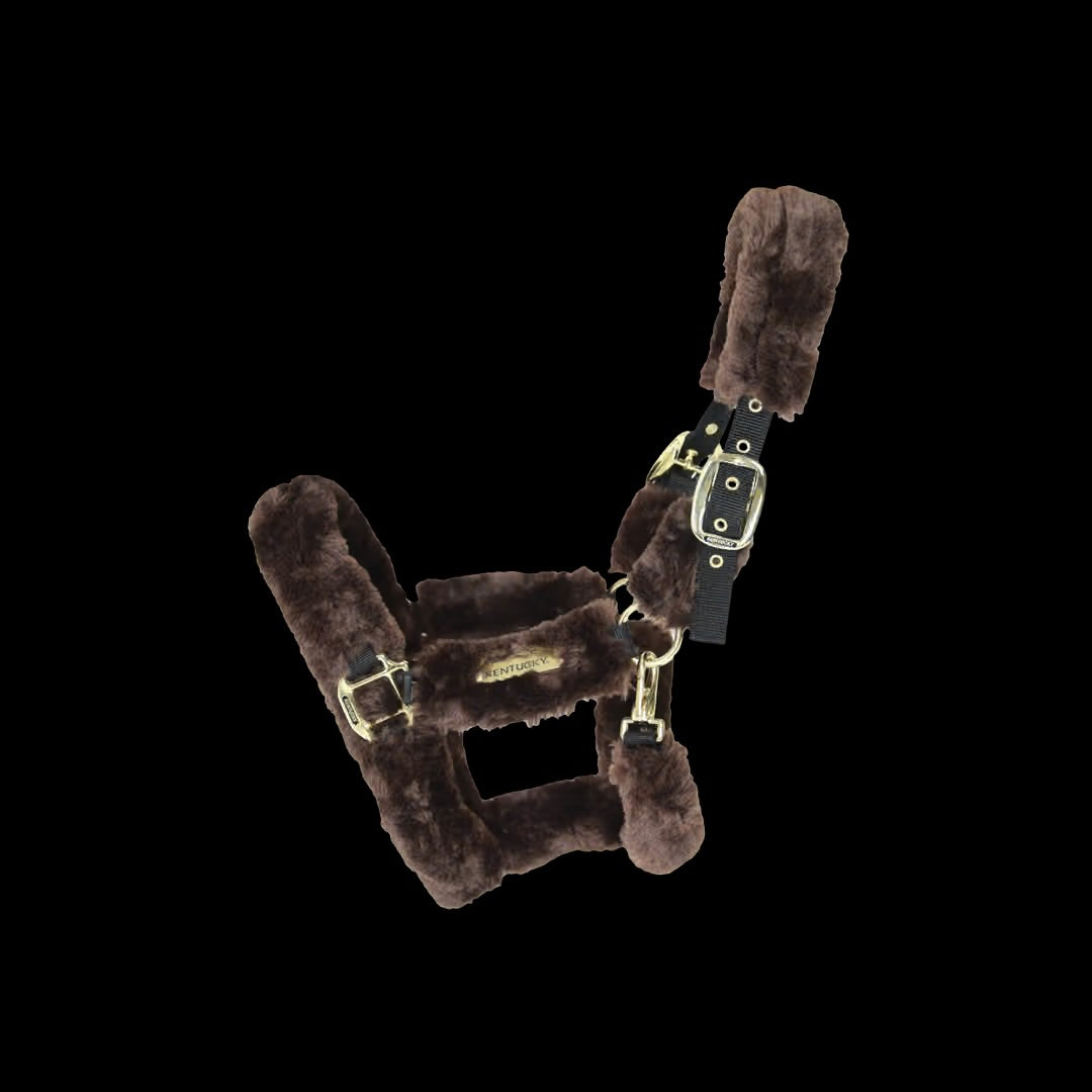 https://equitavisports.ca › products › licol-de-transport-mouton-kentucky-horsewear