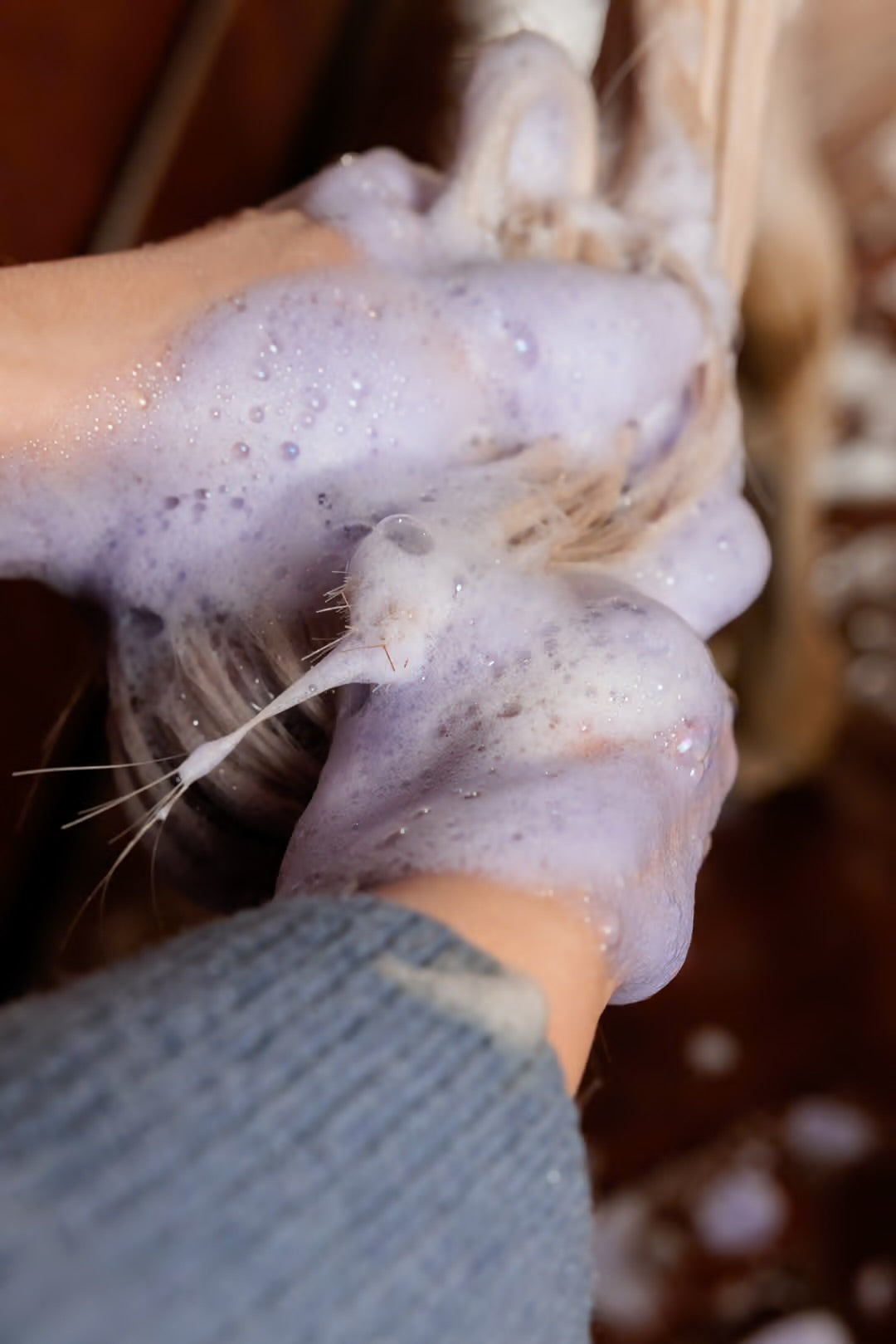 Almond Mauve Shampoo | Kentucky Horsewear