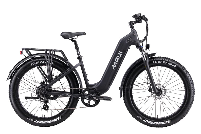 https://equitavisports.ca › products › velo-electrique-fat-bronte-maui