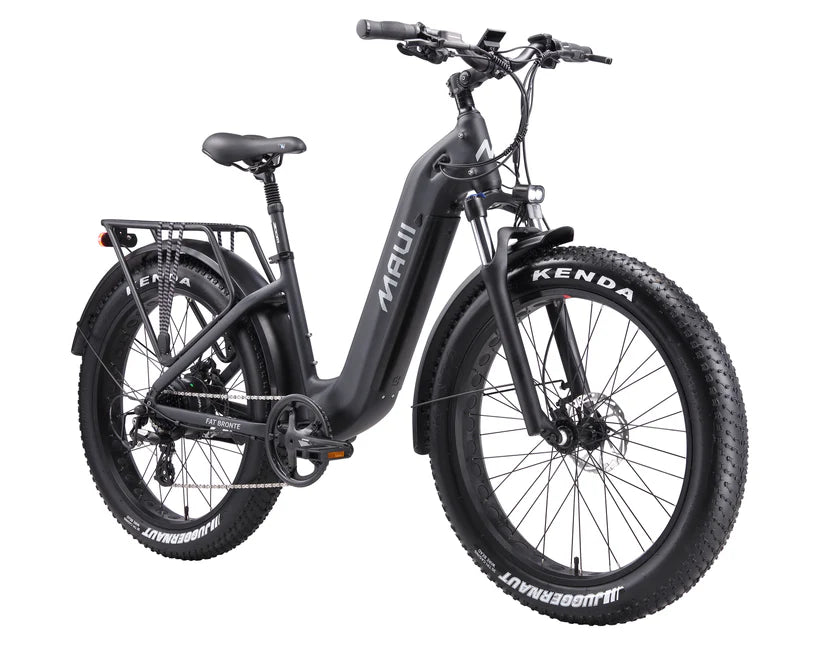 https://equitavisports.ca › products › velo-electrique-fat-bronte-maui