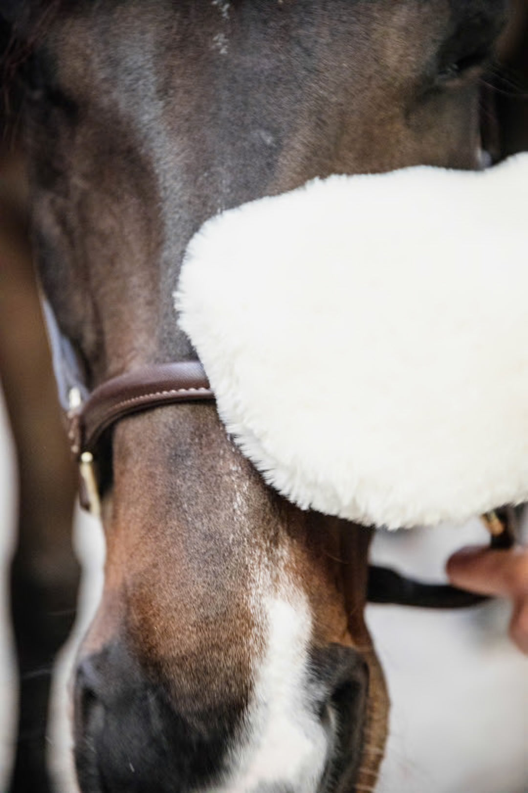 Sheepskin Grooming Glove | Kentucky Horsewear