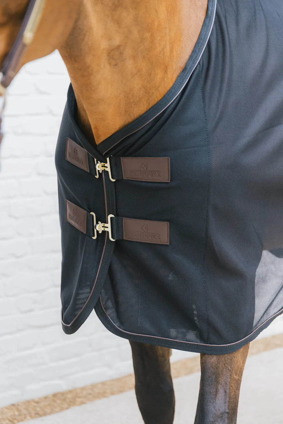 https://equitavisports.ca/products/couverture-anti-mouches-kentucky