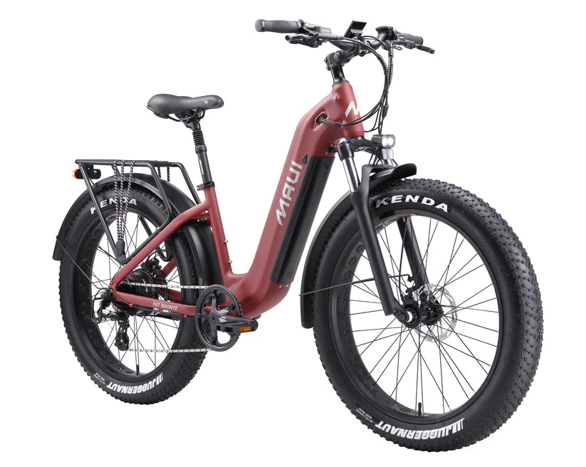 https://equitavisports.ca › products › velo-electrique-fat-bronte-maui