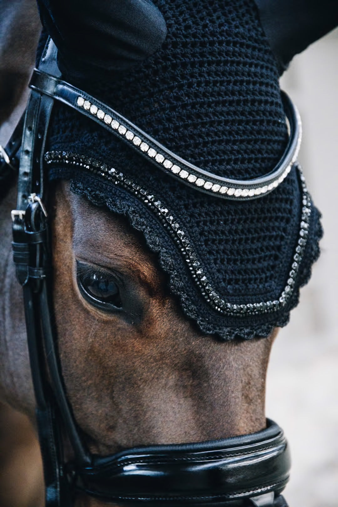https://equitavisports.ca › products › bonnet-wellington-stone-pearl-kentucky-horsewear
Bonnet Wellington Stone & Pearl | Kentucky Horsewear