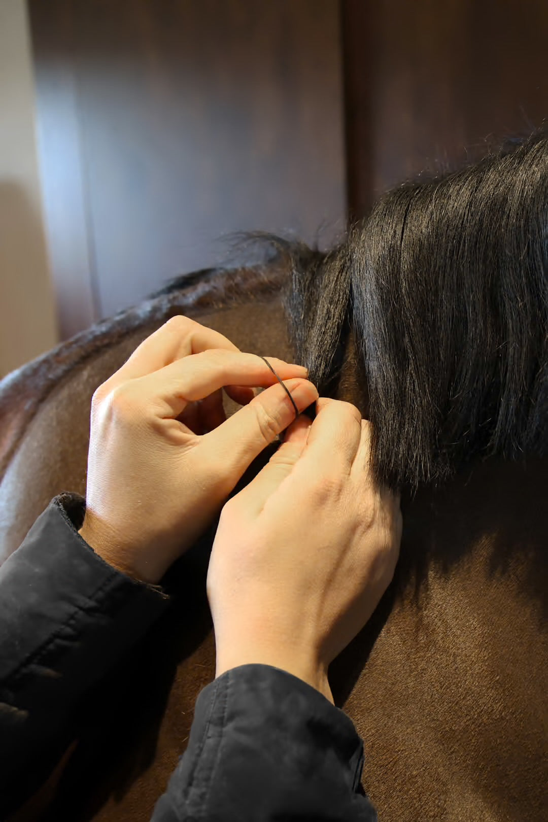 Mane Elastics | Kentucky Horsewear