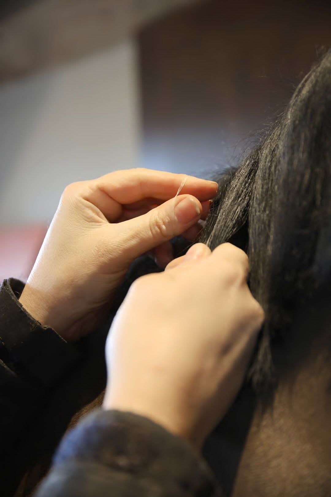 Mane Elastics | Kentucky Horsewear
