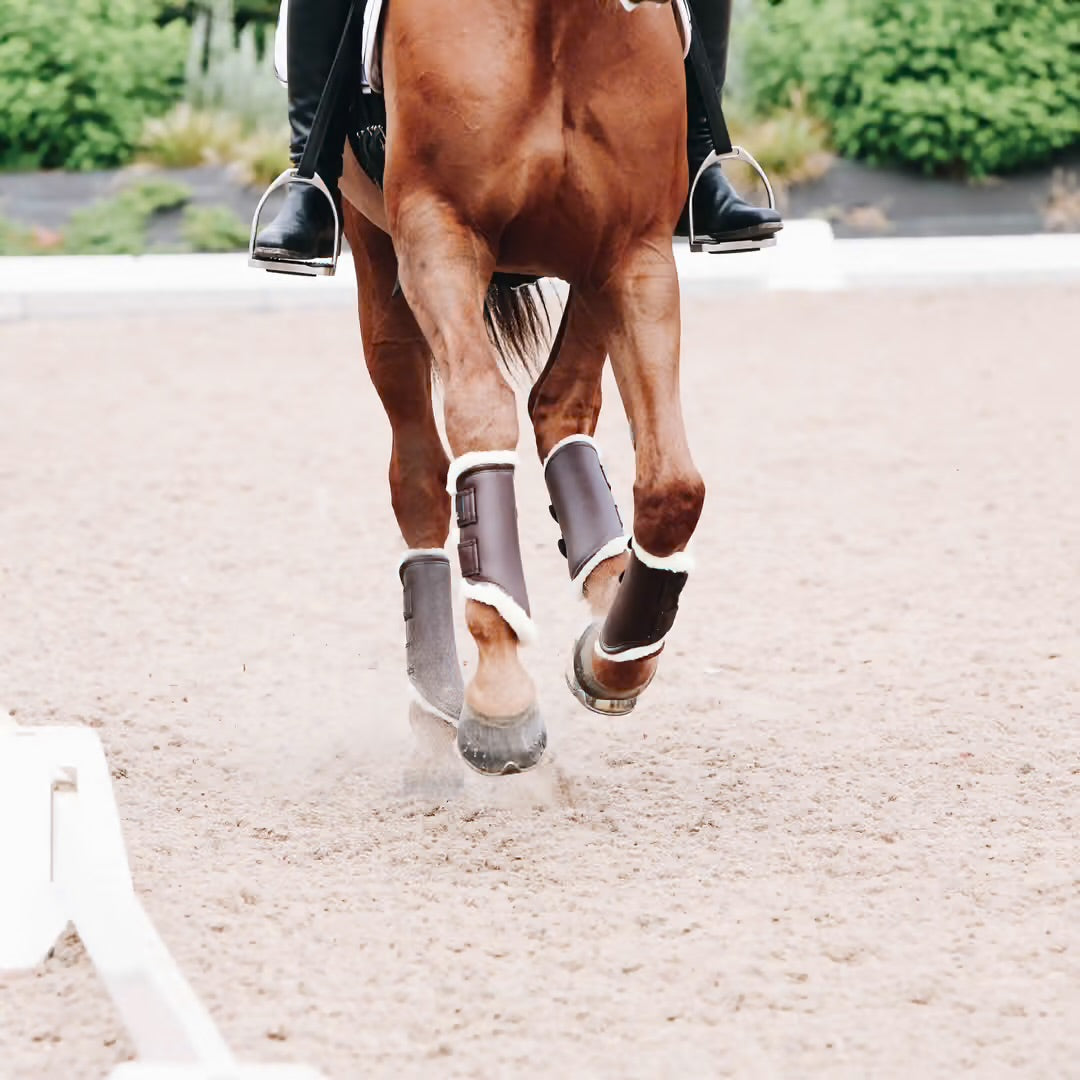 Guêtres pour turnout | Kentucky Horsewear