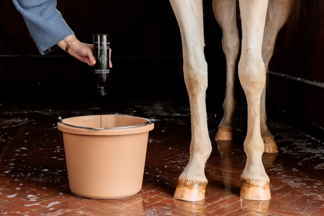 Almond Mauve Shampoo | Kentucky Horsewear