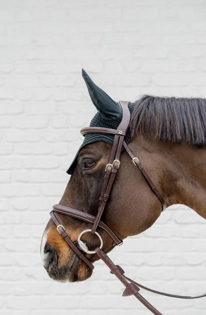 Braided Combination Noseband Bridle | Dy'on D COLLECTION