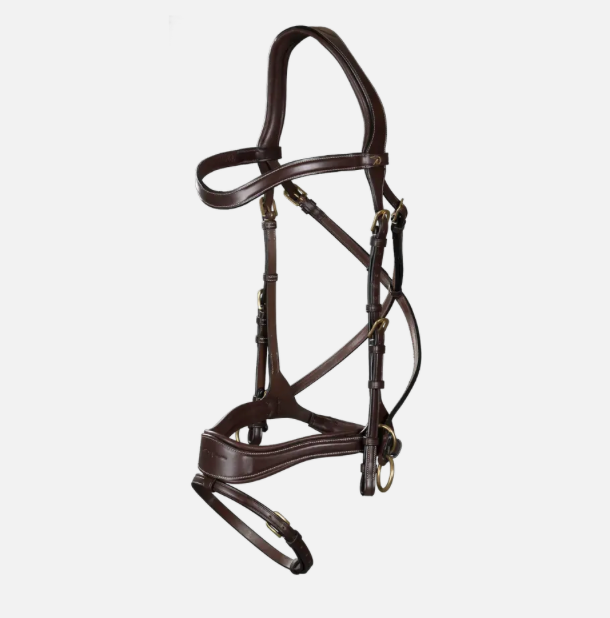 Bridle D Motion | Dy'on D Collection