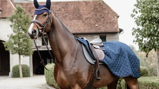 https://equitavisports.ca › products › couvre-reins-kentucky-horsewear