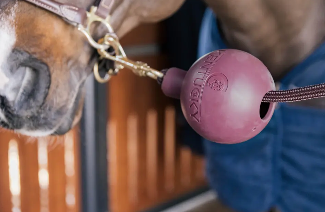 https://equitavisports.ca › products › balle-protection-dattache-kentucky-horsewear