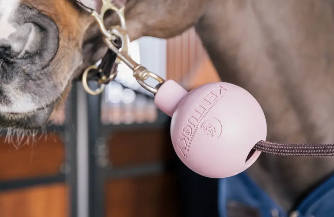 https://equitavisports.ca › products › balle-protection-dattache-kentucky-horsewear