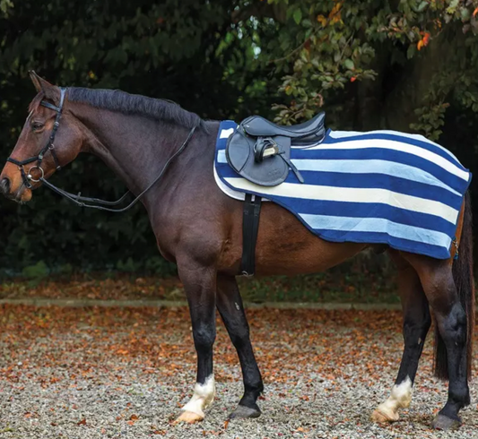 https://equitavisports.ca › products › couvre-reins-rambo-fleece-horseware