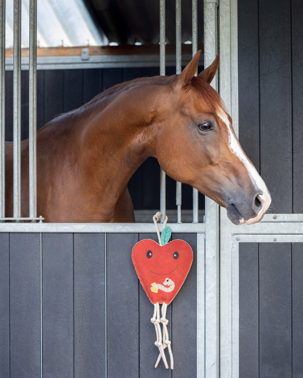 https://equitavisports.ca › products › jouets-pour-chevaux-canpro