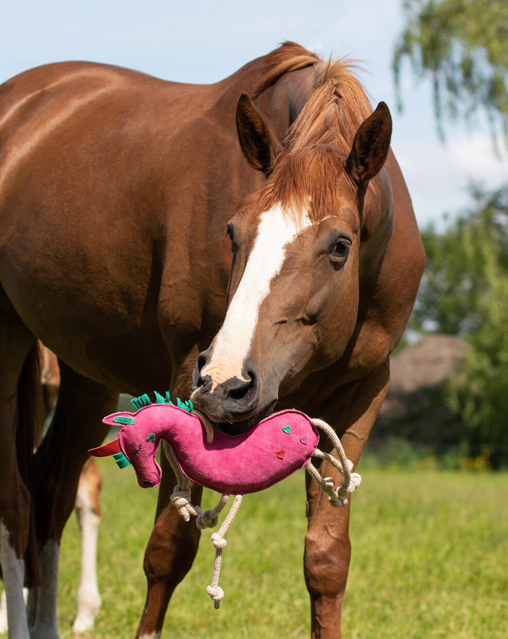 https://equitavisports.ca › products › jouets-pour-chevaux-canpro