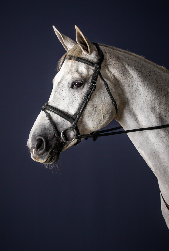 Combined Noseband Bridle|Dy'on New English Collection