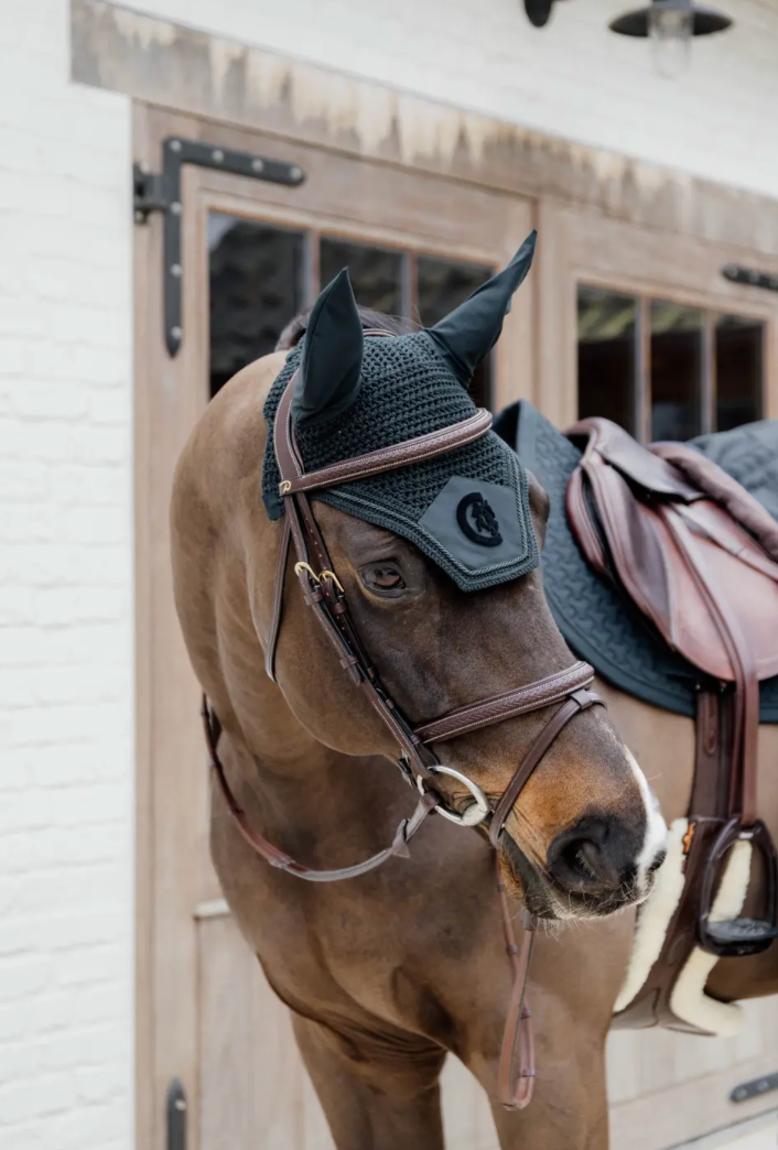 Braided Combination Noseband Bridle | Dy'on D COLLECTION