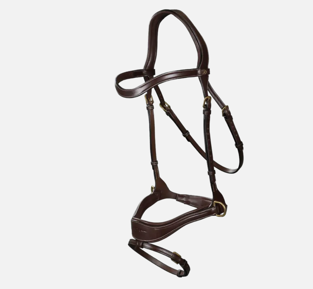 Bridle D Motion | Dy'on D Collection